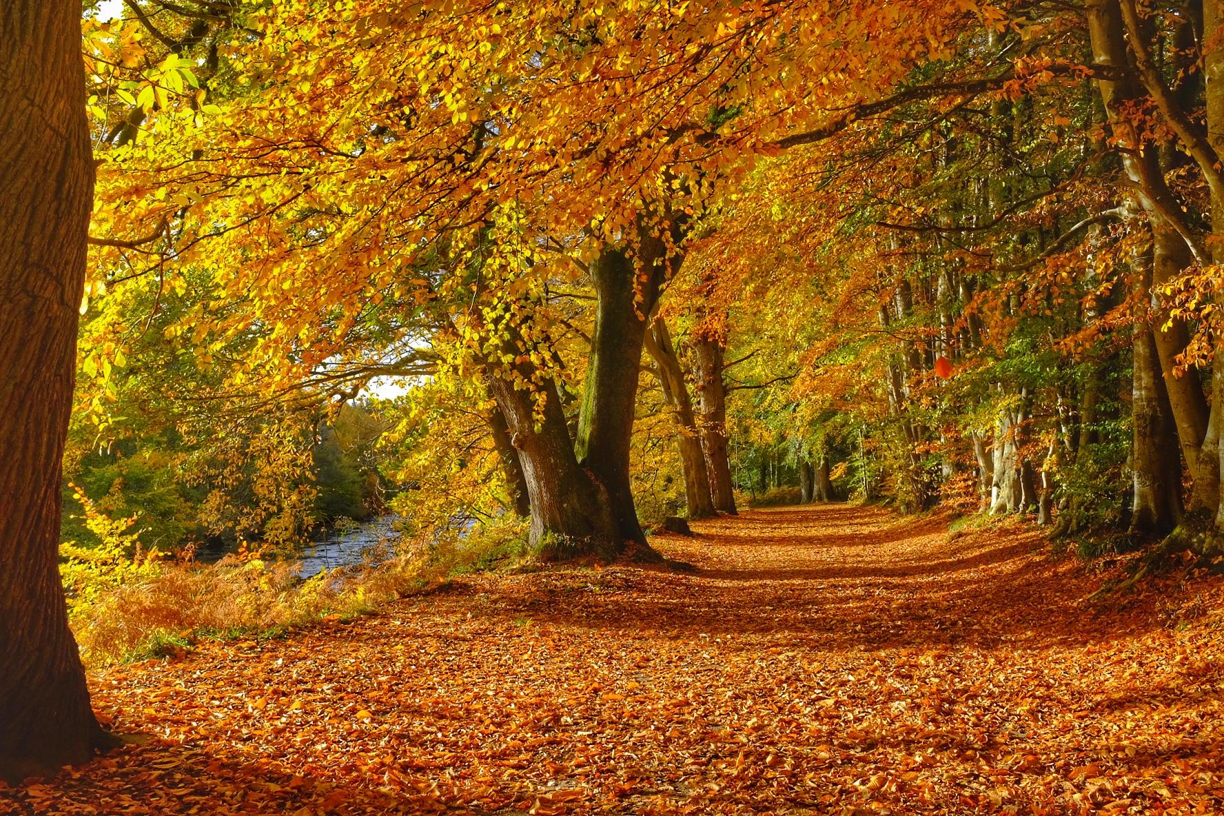Fall