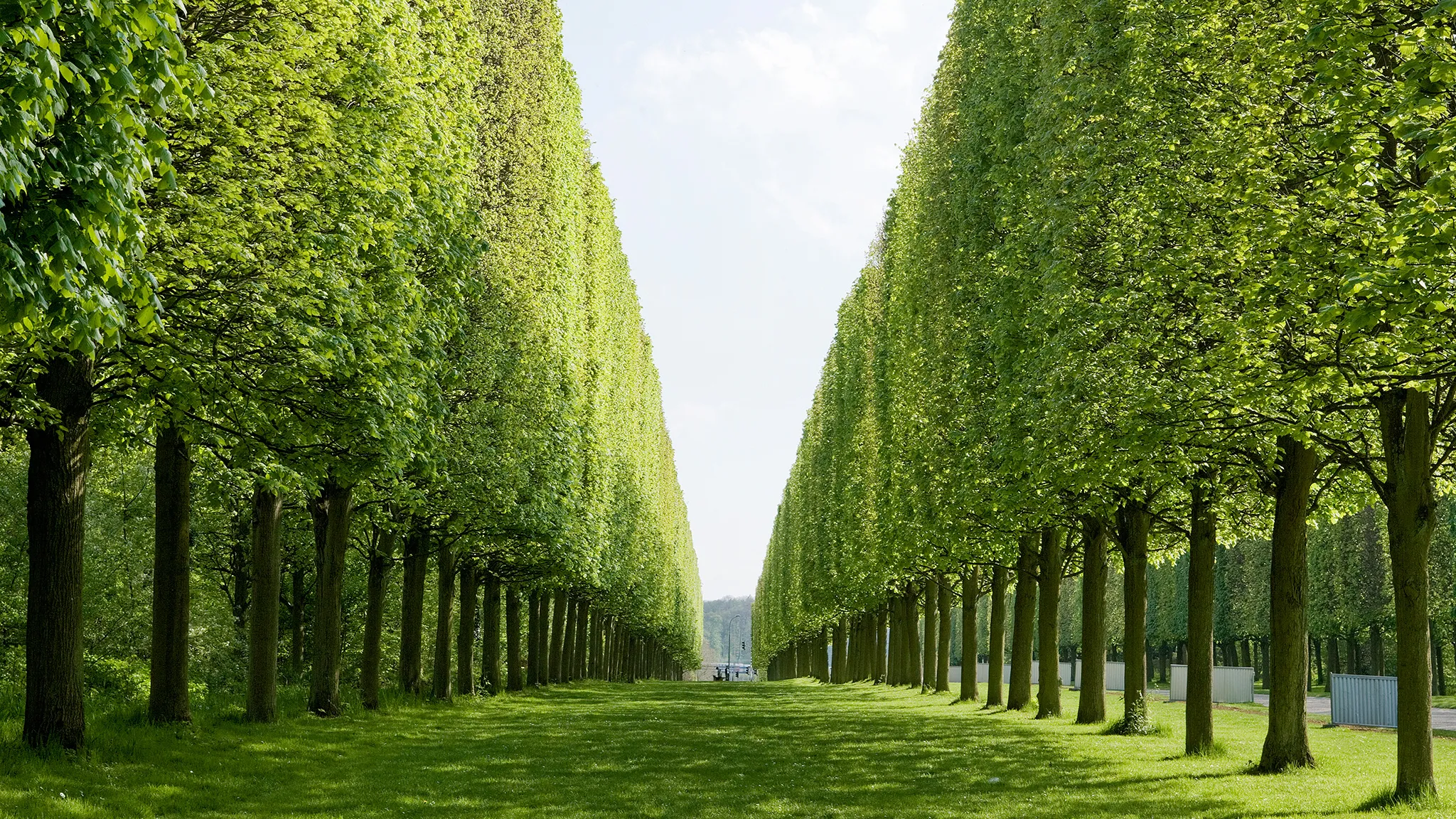 Pillars